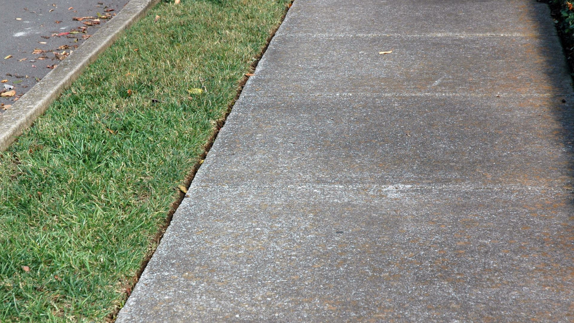 Featured image for “The Business Owner’s Guide to Maintaining Clean Sidewalks and Storefronts”