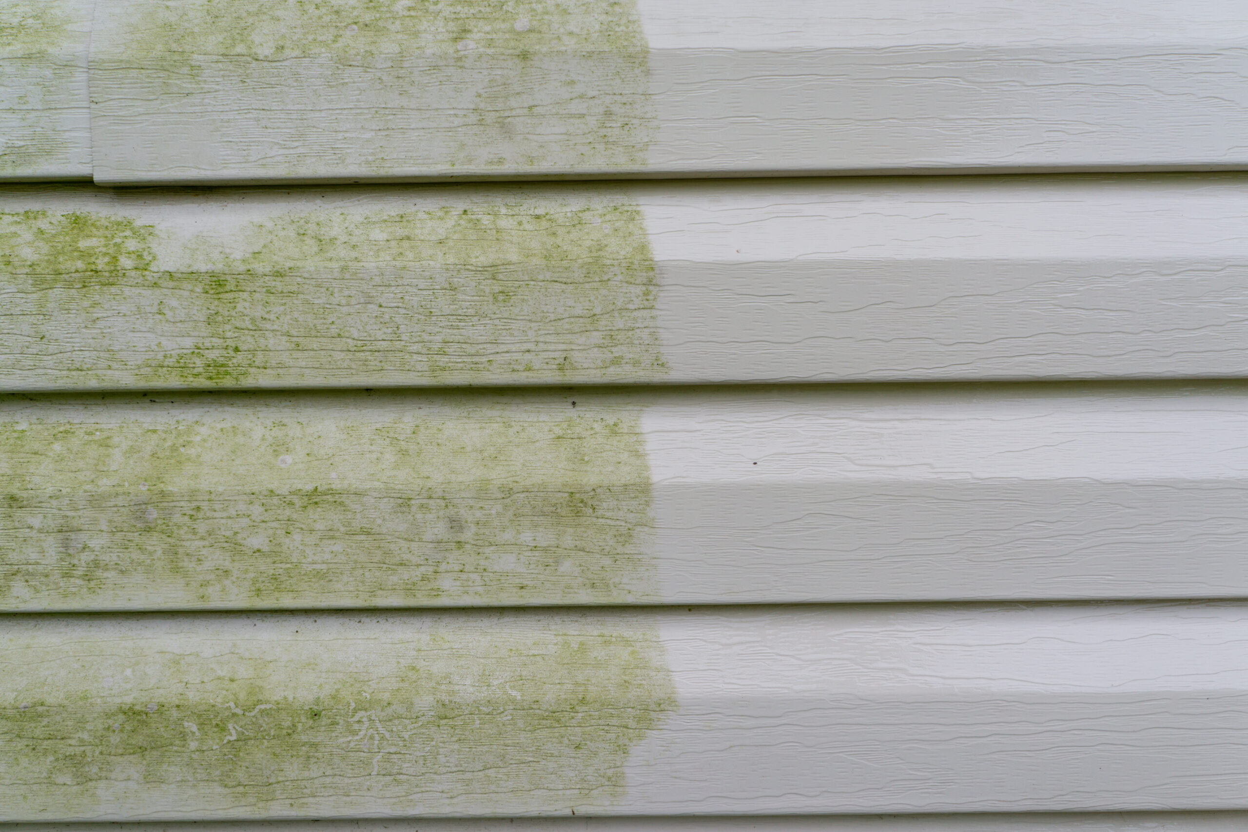 Featured image for “Seasonal Pressure Washing Tips for Northern Virginia Residents”