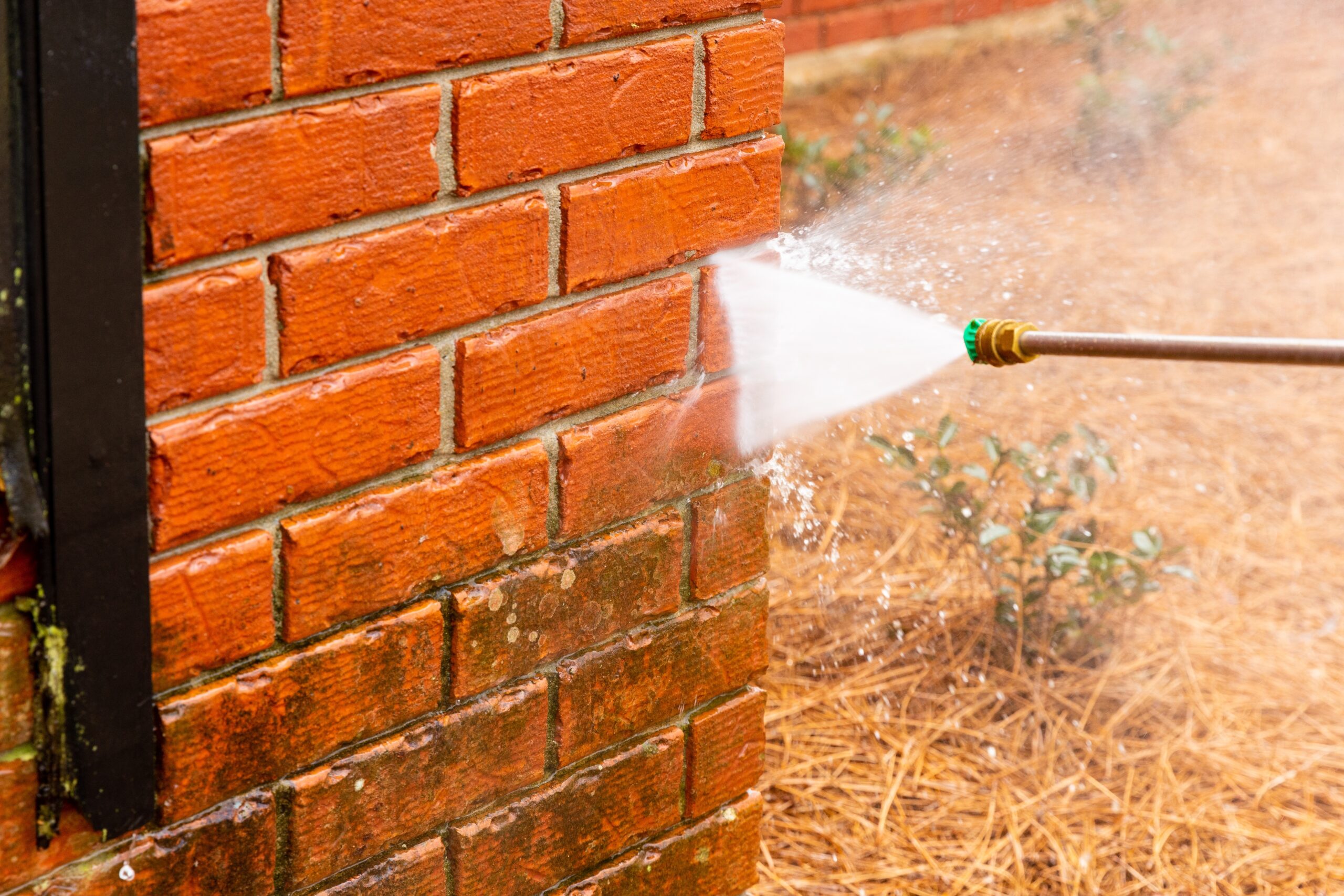 Featured image for “Preventing Spring Mold and Mildew: Winter Pressure Washing Tips”